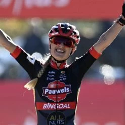 Shimano Sunglasses CE-ARLP1-RD